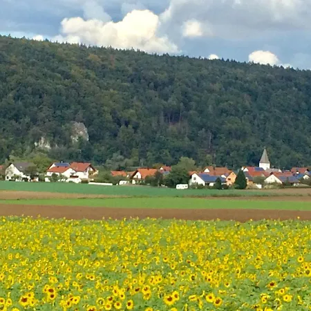 Idylle I An Der Donau Apartment