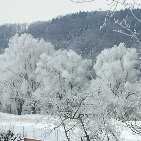 Idylle I An Der Donau *